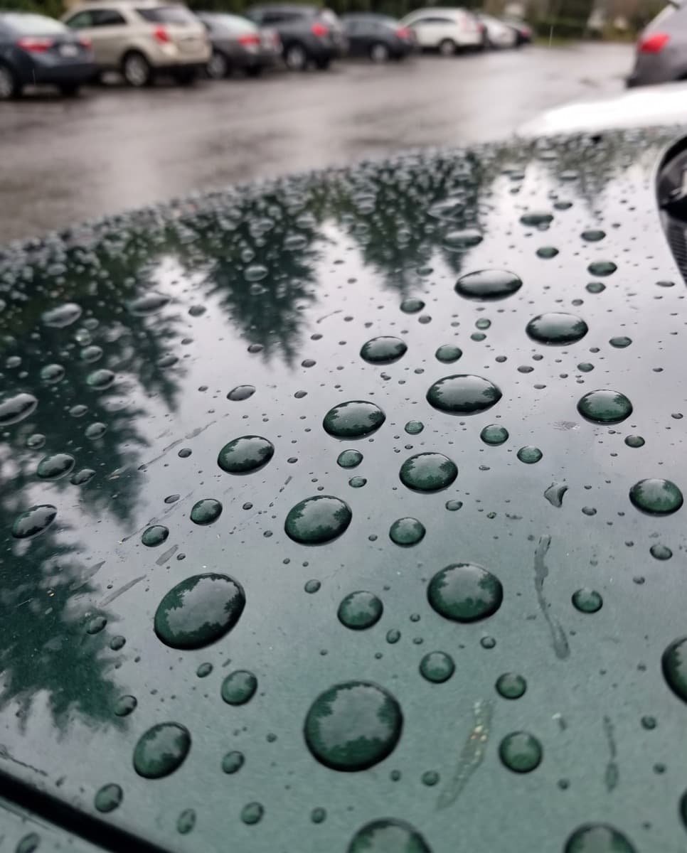 Round water beads on freshly sealed dark green car paint